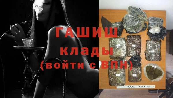 шишки Аркадак