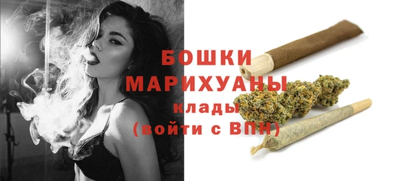 шишки Аркадак