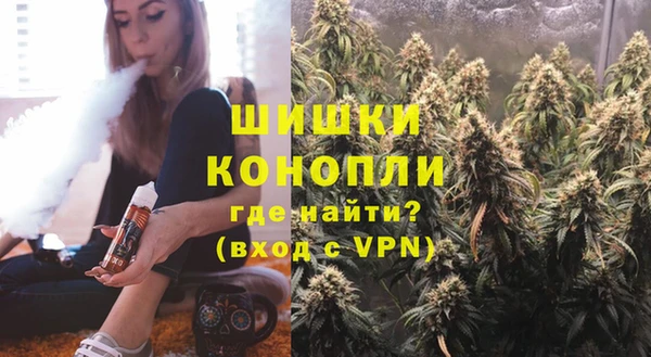 шишки Аркадак