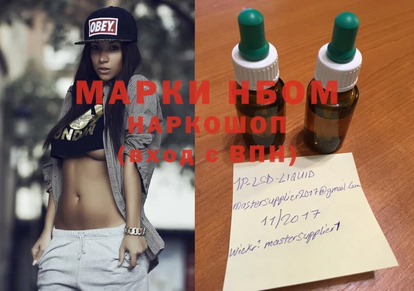 шишки Аркадак