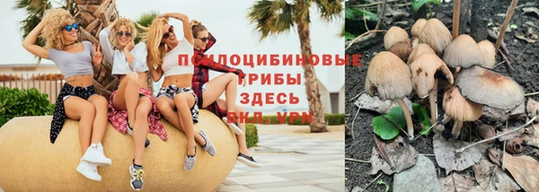 эйфоретик Армянск