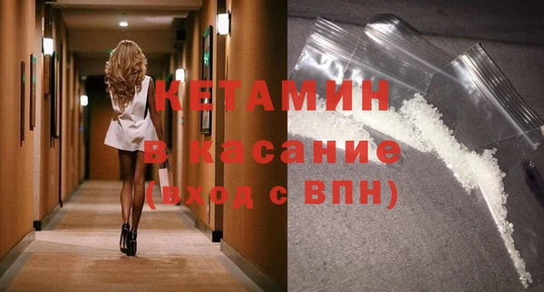 шишки Аркадак