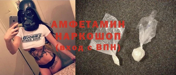 шишки Аркадак