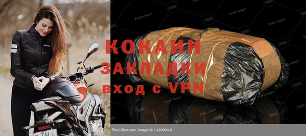 шишки Аркадак